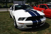 Mustang